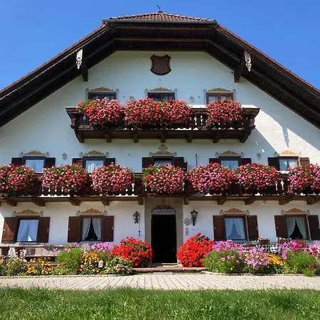 Barmbichlhof * Anger