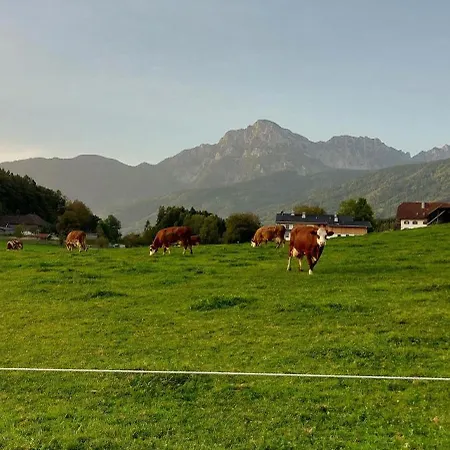 Barmbichlhof Anger