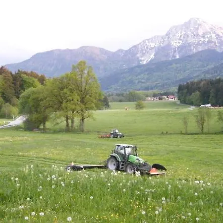 Barmbichlhof Farm stay