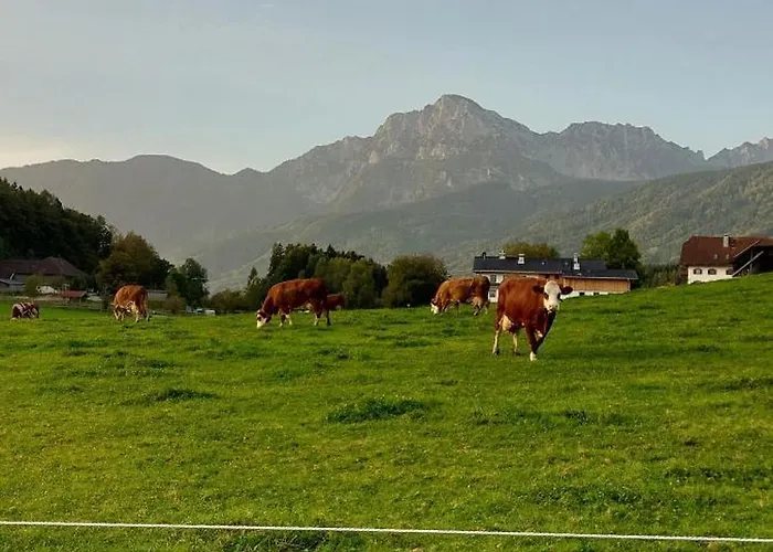 Barmbichlhof Ангер