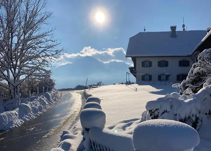 Barmbichlhof Ангер